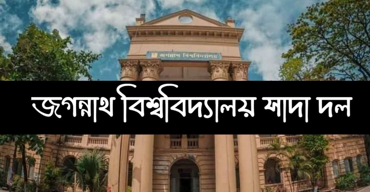 অধ্যাপক তাজমেরীকে হেনস্তা দেশের জন্য কল্যাণকর নয়: জবি সাদা দল