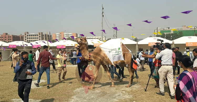 একসঙ্গে শত জাতের প্রাণী প্রদর্শনী