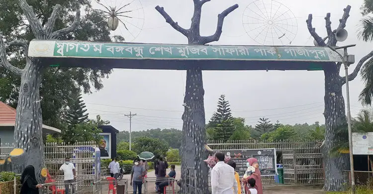 Probe committee visits Safari Park to unearth zebras’ death reason