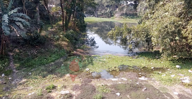 খরস্রোতা শালকী এখন অস্তিত্ব সংকটে