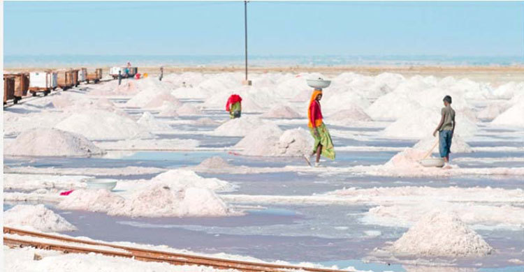 লবণের মাঠে বজ্রপাতে দুজনের মৃত্যু