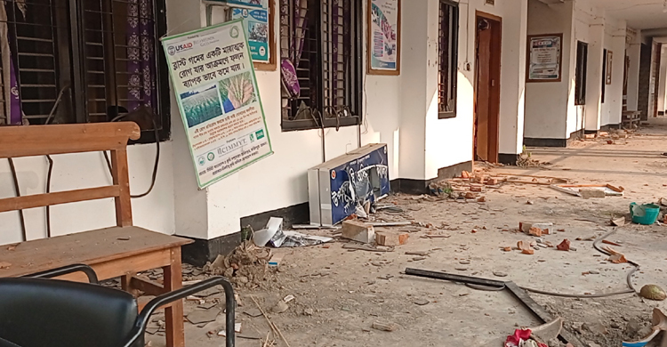 সালথায় সহিংসতায় ৩ কোটি টাকার ক্ষয়ক্ষতি : তদন্ত কমিটি