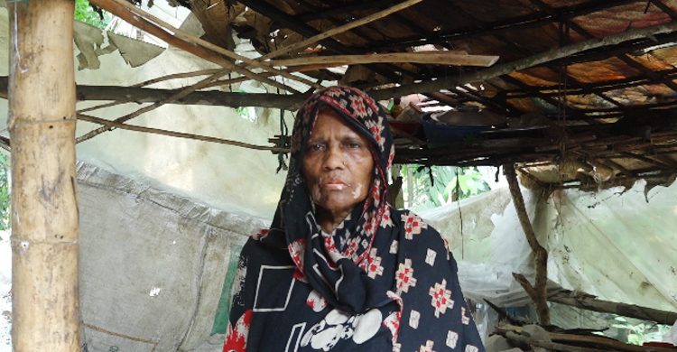 মৃত শানু বেগম এখন জীবিত