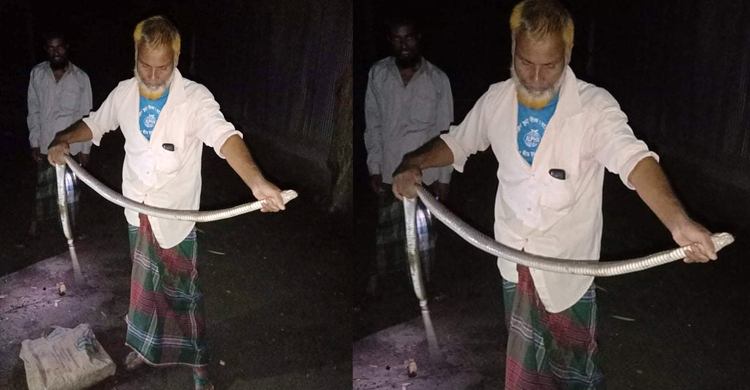 মুরগির খাঁচায় সাপের দংশনে প্রাণ গেলো নারীর