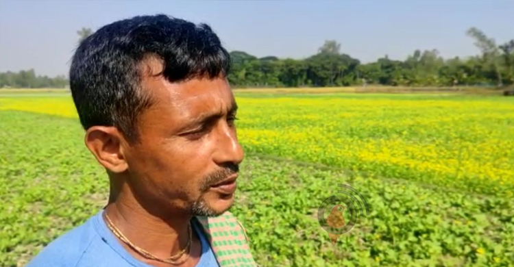 গাইবান্ধায় সার সংকট, শঙ্কায় চাষিরা