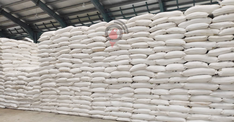 ভরা মৌসুমে গাইবান্ধায় সার সংকট