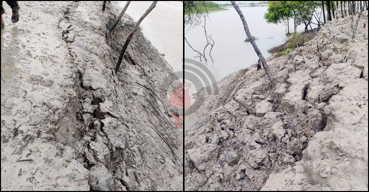 সাতক্ষীরায় বেড়িবাঁধে ফাটল, আতঙ্কে এলাকাবাসী