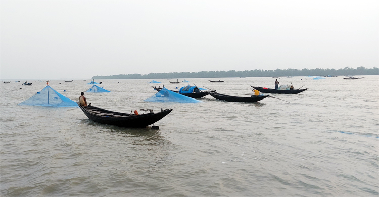 সুন্দরবনে পারশের পোনা শিকার, ১৬ জেলে কারাগারে