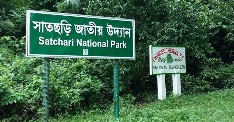 সাতছড়িতে বিজিবি’র অভিযান, গোলাবারুদের সন্ধান