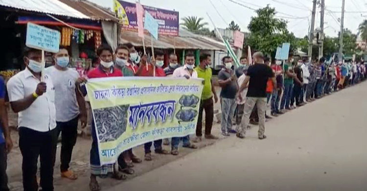 চীনে কাঁকড়া রফতানি চালুর দাবি