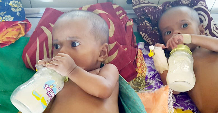 আর ময়দার গোলা খেতে হবে না সাফিয়া-মারিয়াকে, পাশে দাঁড়ালেন ডিসি
