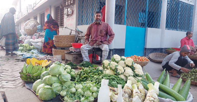 সাতক্ষীরায় কমেছে সবজির দাম