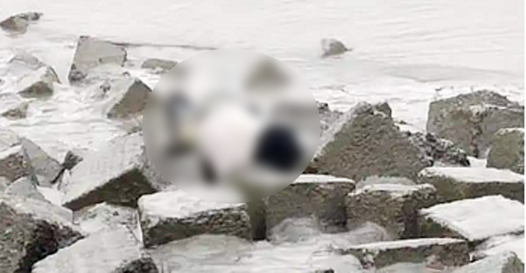 ইছামতি নদী থেকে অজ্ঞাত যুবকের লাশ উদ্ধার