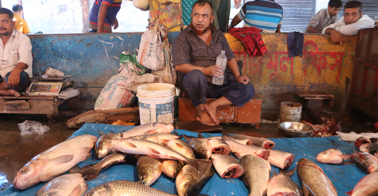 satkhira-fish