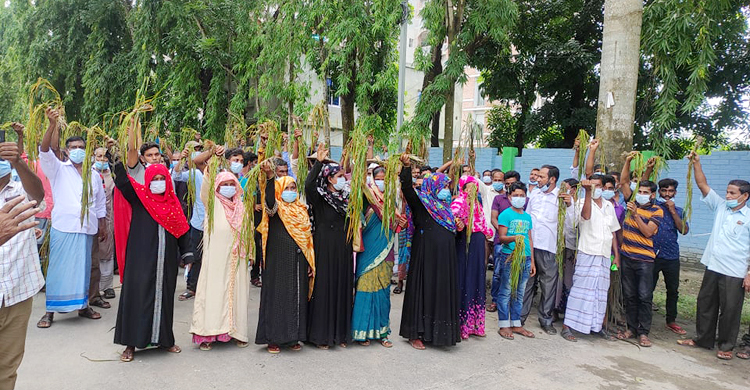 সাতক্ষীরায় জলাবদ্ধতা নিরসনে কৃষকদের প্রতীকী অবস্থান