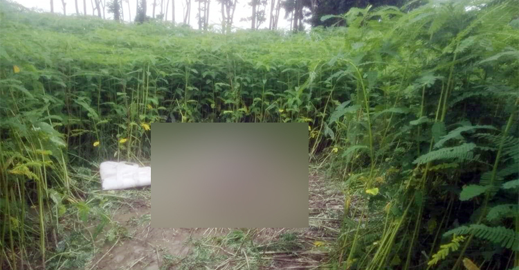 সাভারে দুই যুবককে ছুরিকাঘাতে হত্যা
