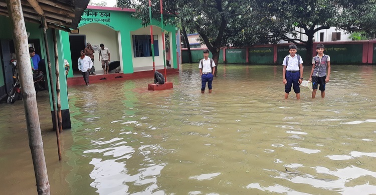 বৃষ্টিতে বিদ্যালয়ে হাঁটু পানি, শিক্ষাকার্যক্রম ব্যাহত