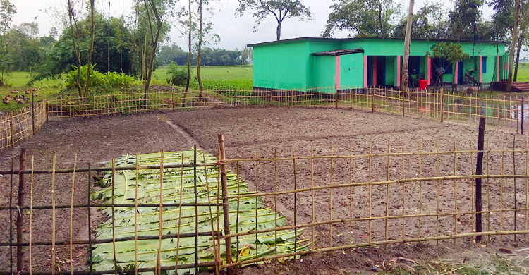 মালিকানা দাবি করে স্কুলমাঠে সবজি চাষ