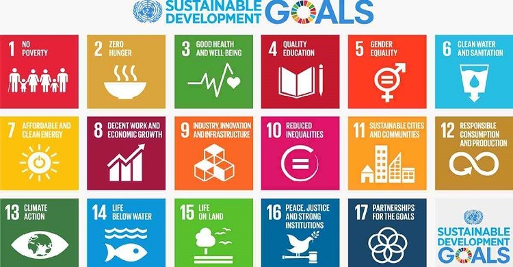 Private business sector still away from reaching SDGs