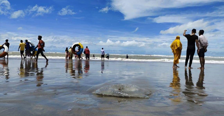 কক্সবাজার সৈকতে ভেসে আসছে মৃত জেলিফিশ, কারণ জানতে নমুনা সংগ্রহ
