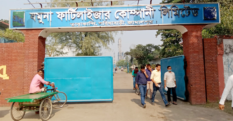 ‘ভুল বাটনে’ চাপ, যমুনা সার কারখানায় উৎপাদন বন্ধ