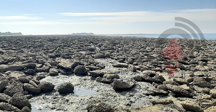 সাইনবোর্ডে ‘সীমাবদ্ধ’ ছেঁড়া দ্বীপ ভ্রমণের নিষেধাজ্ঞা