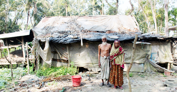 কবে একটু সুখ পাবেন সেতারা-মালেক দম্পতি