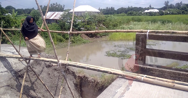 ব্রিজে উঠতে বাঁশের সাঁকো