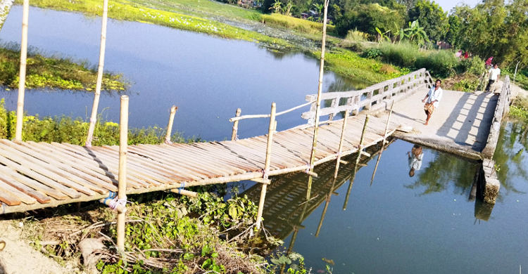 কাঠের সেতুই ভরসা!