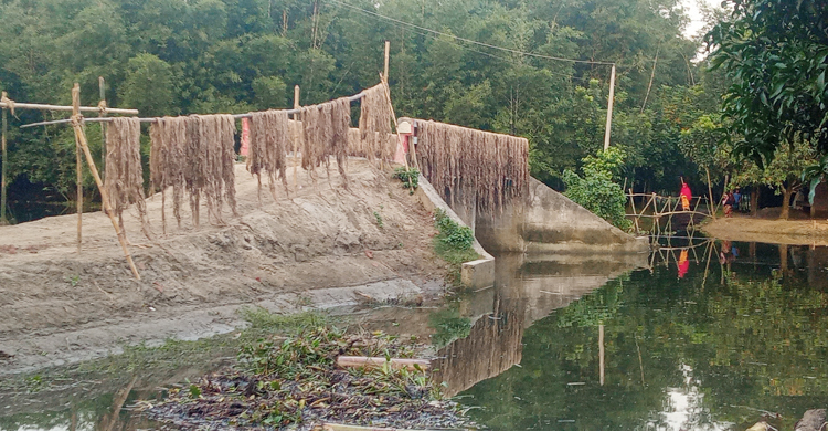বাঁশের সাঁকো দিয়ে উঠতে হয় ৩২ লাখ টাকার সেতুতে