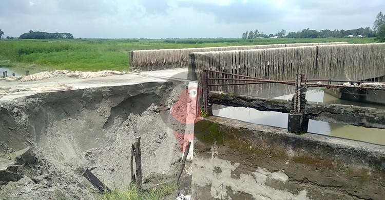 ব্রিজে উঠতে বাঁশের সাঁকো