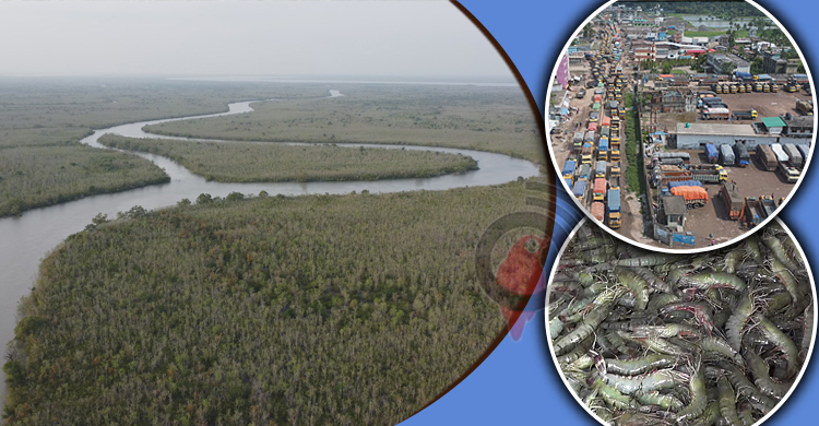 পদ্মা সেতুতে চাঙা হবে সাতক্ষীরার অর্থনীতি