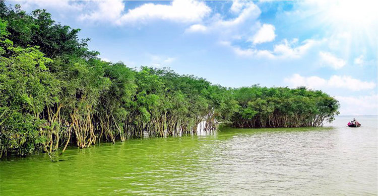বন্যাকবলিত হাওরে ডাকাত আতঙ্ক, রাত জেগে পাহারা