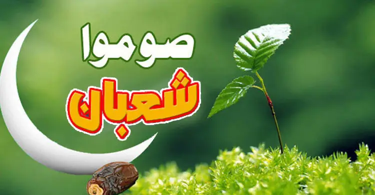 শাবান মাসে যে আমল বেশি করতেন নবিজি (সা.)