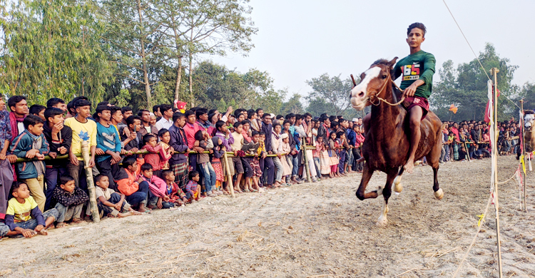 ঘোড়দৌড়ে গরু জিতলো শাকিল