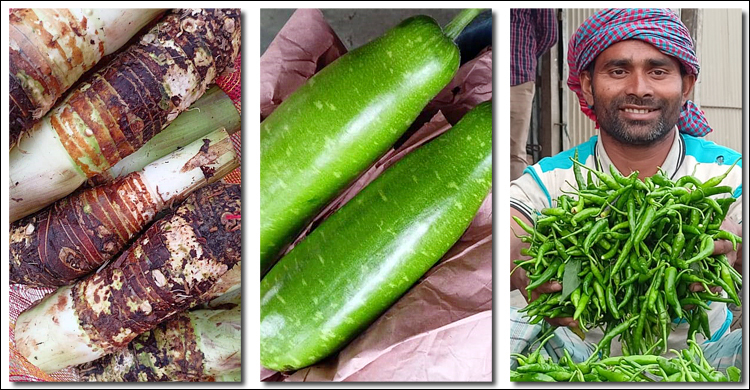 শরীয়তপুরের কচু-কাঁচামরিচ-লাউ যাচ্ছে সুইজারল্যান্ডে