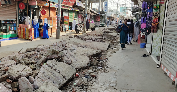 Shariatpur-Gosirhat-Powrosova-2