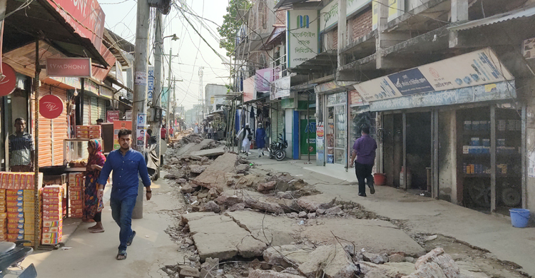 Shariatpur-Gosirhat-Powrosova-2