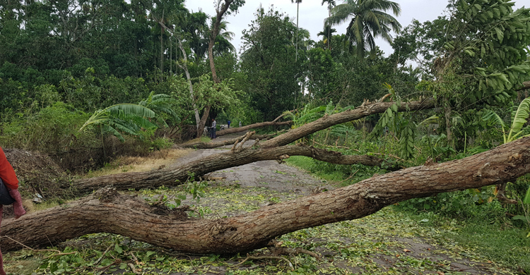 লন্ডভন্ড সাতক্ষীরায় অবরুদ্ধ সড়ক, ধ্বসে গেছে ৮৩ হাজার বাড়ি