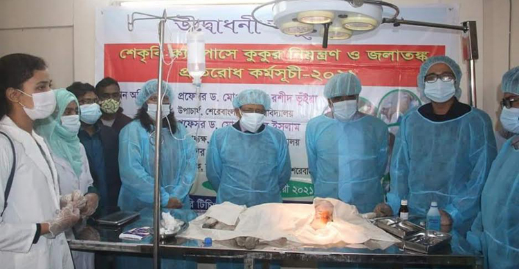 শেকৃবিতে মানবিক উপায়ে কুকুরের সংখ্যা নিয়ন্ত্রণ কর্মসূচি উদ্বোধন