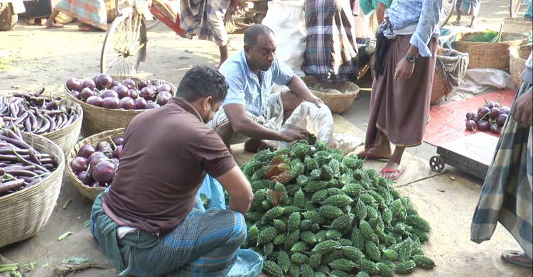 শেরপুরে জমজমাট সবজির বাজার ‘আবাদ বেশি হইলেও লস, খারাপ হইলেও লস’