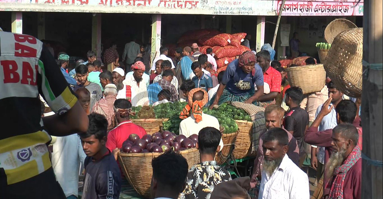 শেরপুরে জমজমাট সবজির বাজার ‘আবাদ বেশি হইলেও লস, খারাপ হইলেও লস’
