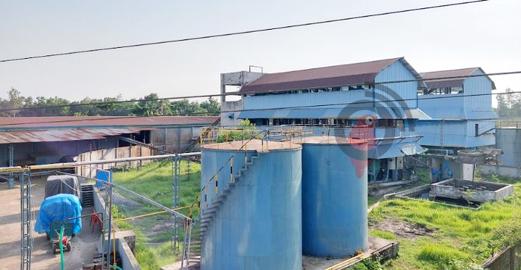 ভোজ্যতেলের চাহিদা পূরণে আবার উৎপাদনে স্পন্দন