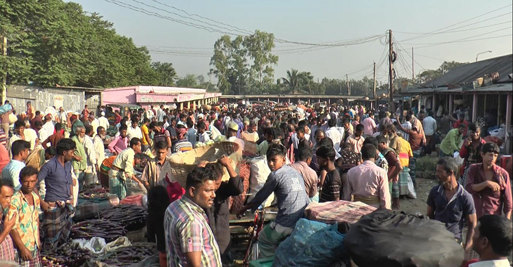 শেরপুরে জমজমাট সবজির বাজার ‘আবাদ বেশি হইলেও লস, খারাপ হইলেও লস’