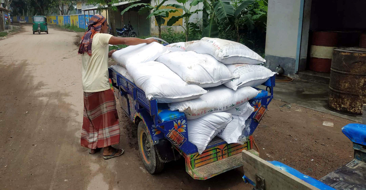 বগুড়ায় ইউরিয়া নিয়ে কারসাজি, দুশ্চিন্তায় কৃষক