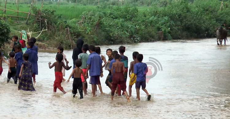বনের ভেতর স্লুইচগেট নির্মাণের পরিকল্পনা, হুমকিতে শাল-গজারি বন