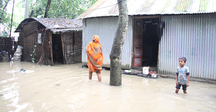 শেরপুরে ৪০ হাজার মানুষ পানিবন্দি, খাবারের সঙ্কট