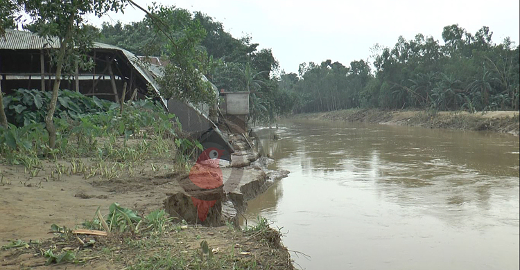 ‘ক্ষতিপূরণ না, মহারশীতে বেড়িবাঁধ চাই’
