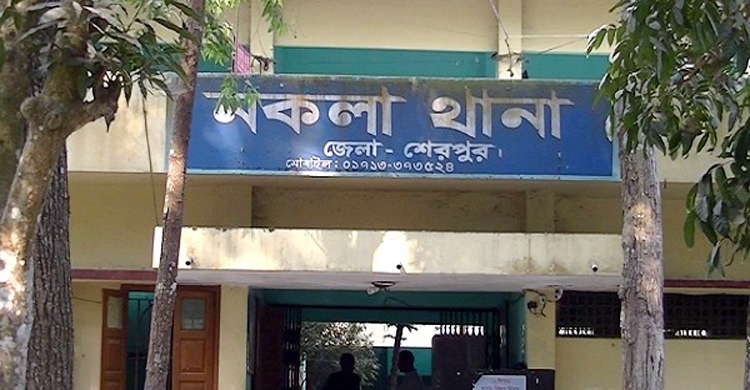 ভাষা দিবসের অনুষ্ঠান দেখতে গিয়ে প্রাণ গেল দুই বন্ধুর