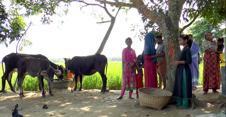 শেরপুরে সুদকারবারিদের ফাঁদে নিঃস্ব হচ্ছে অসহায় মানুষ
